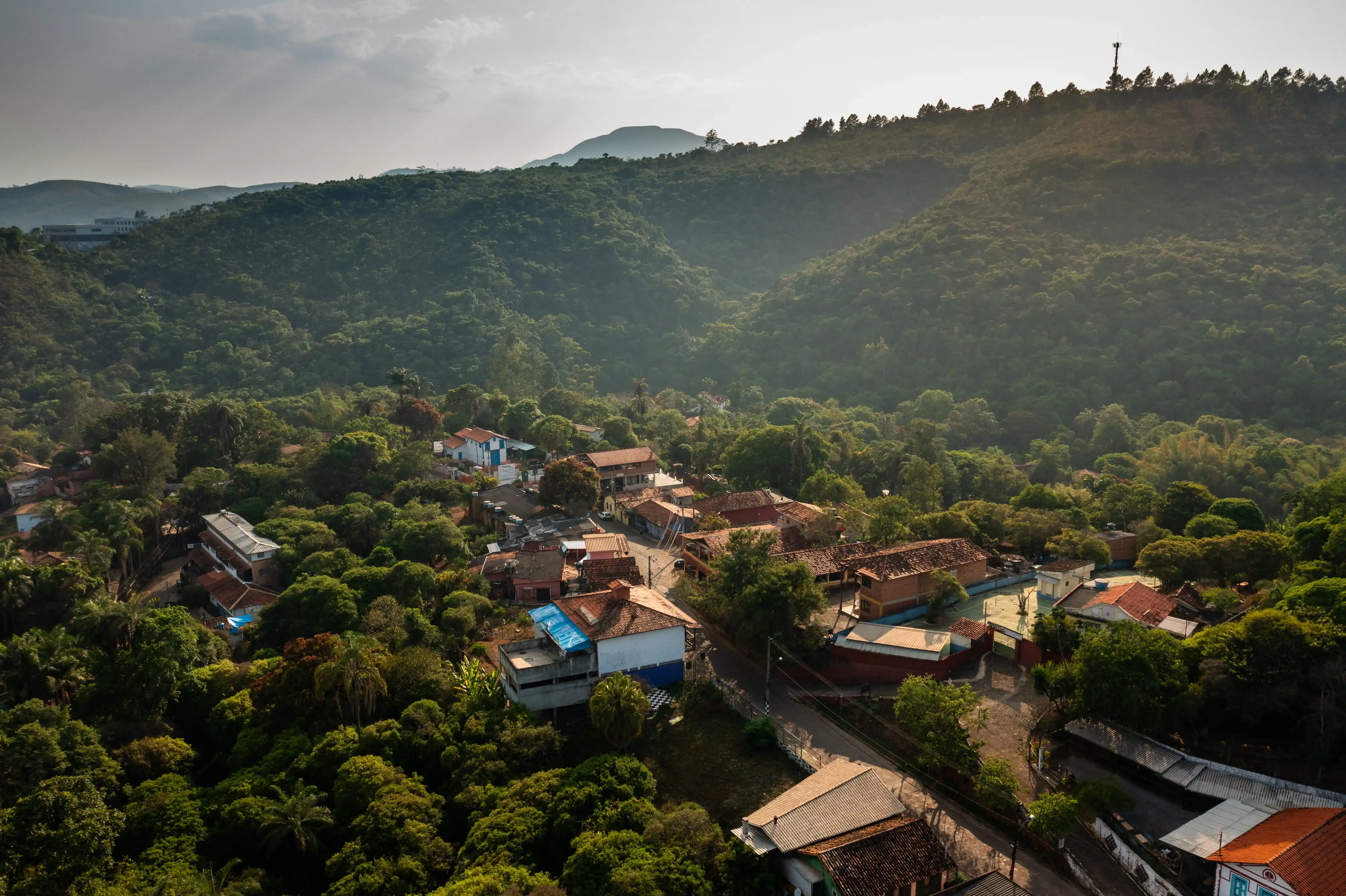 Macacos como destino turístico moderno com natureza preservada