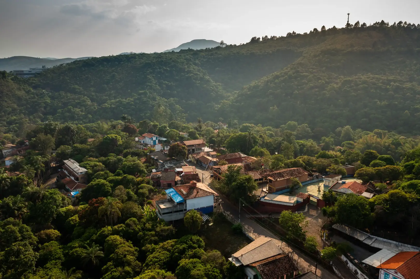Macacos como destino turístico moderno com natureza preservada
